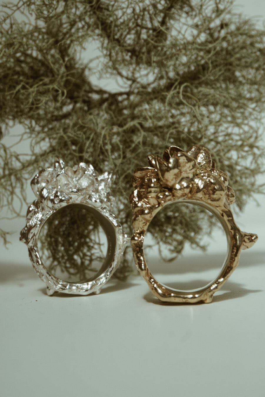 Two rings, one silver and one gold, on a neutral background with a natural element.