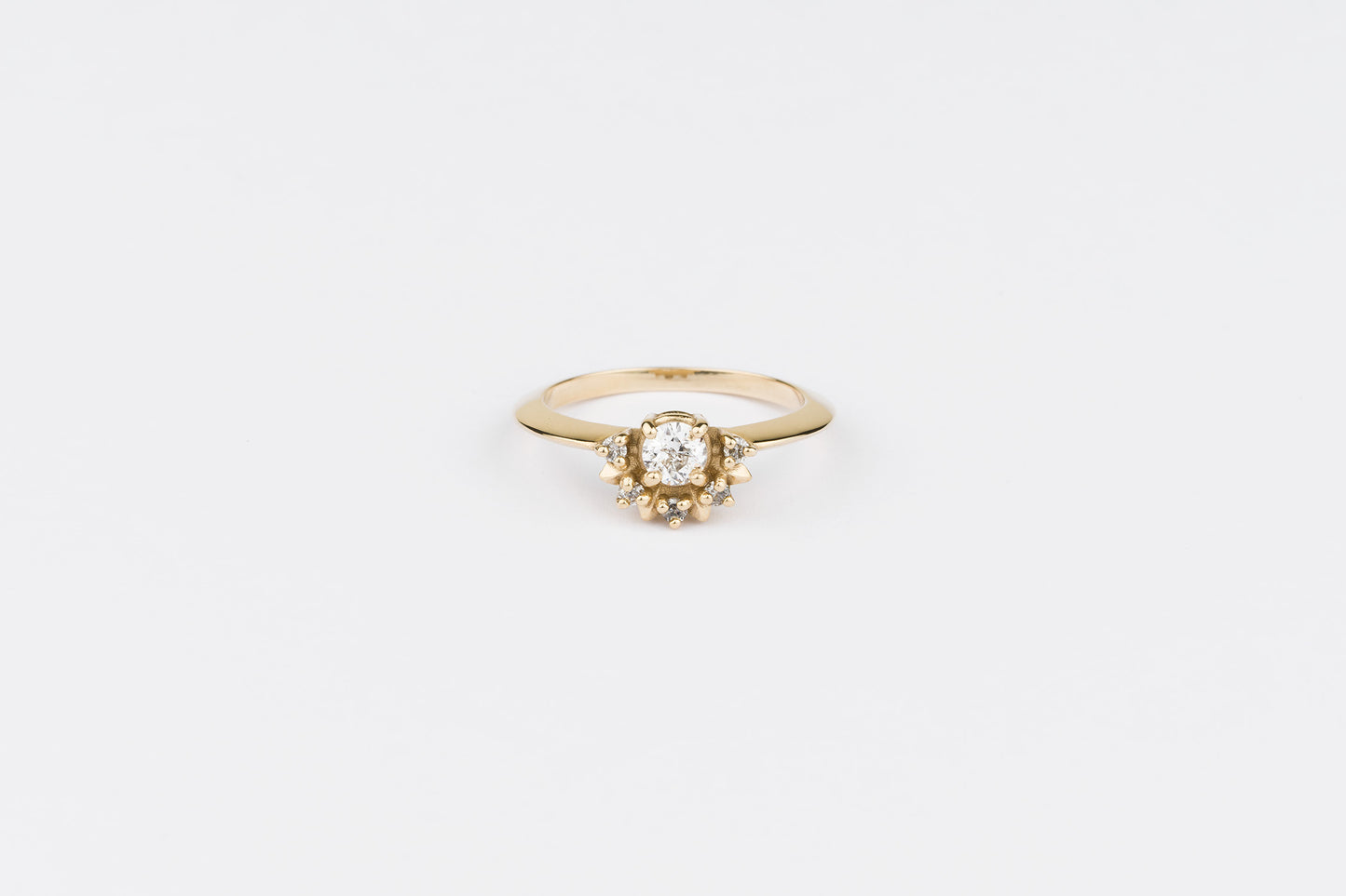 Lisa Ring