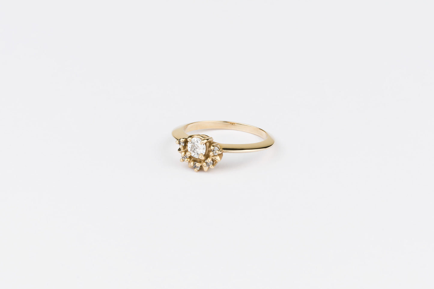Lisa Ring