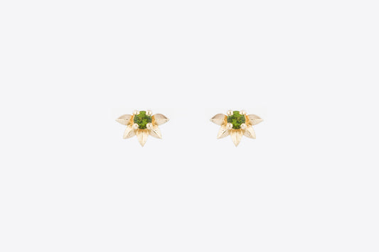 Endearment Earrings