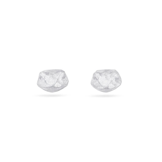 Observing Frog Earrings