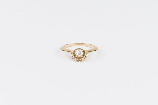 Lisa Ring